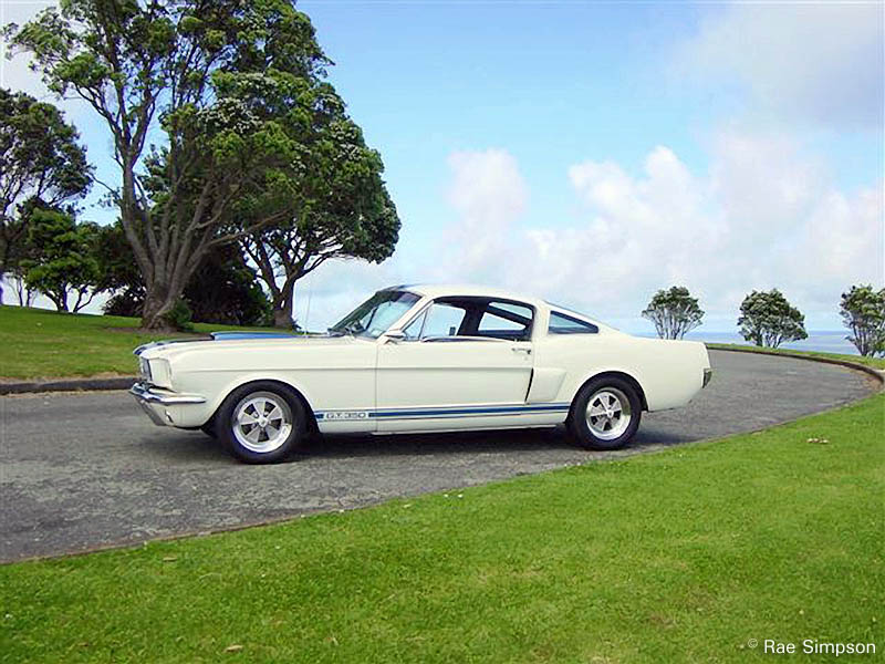 1966 Ford Shelby Mustang GT-350 S